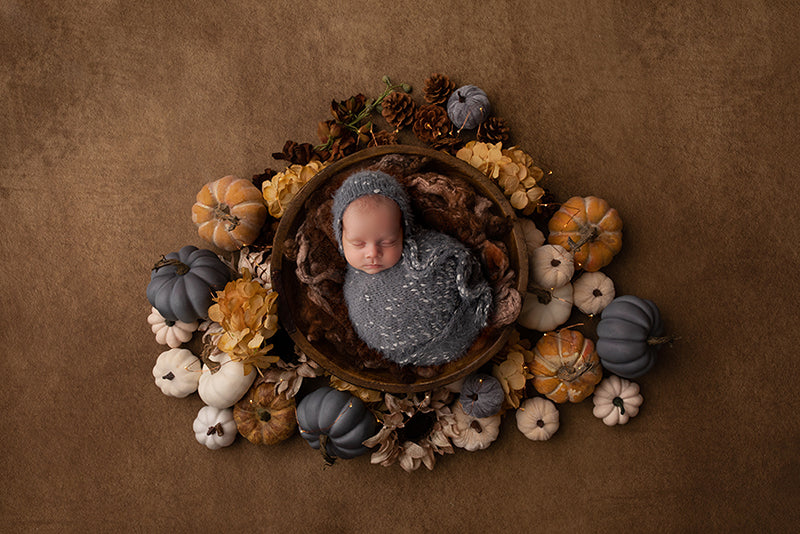 Harvest Delight II | Newborn Digital Backdrop - HSD Photography Backdrops 