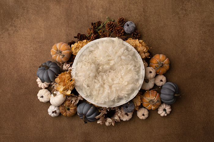 Harvest Delight I | Newborn Digital Backdrop - HSD Photography Backdrops 