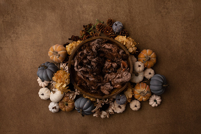 Harvest Delight II | Newborn Digital Backdrop - HSD Photography Backdrops 