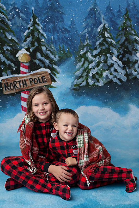 To the North Pole - HSD Photography Backdrops 