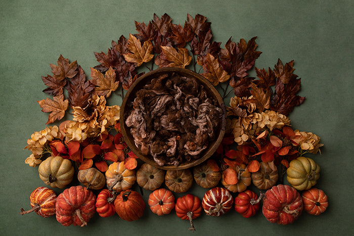 Lots of Leaves | Newborn Digital Backdrop - HSD Photography Backdrops 