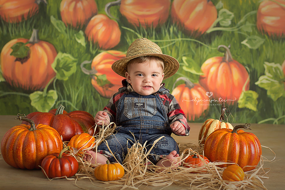 Pumpkin Patch Photography Backdrop Fall Photography Background Props