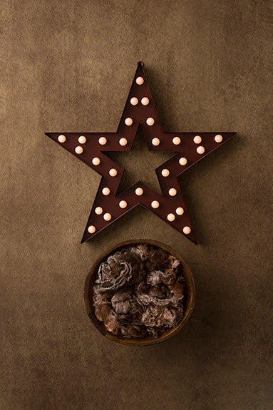 Wrangler | Rustic Star Coll. | Digital - HSD Photography Backdrops 