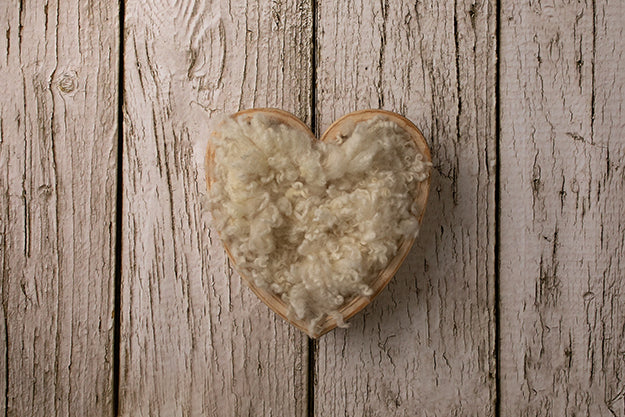 Newborn Digital Backdrop | Rustic Heart II - HSD Photography Backdrops 