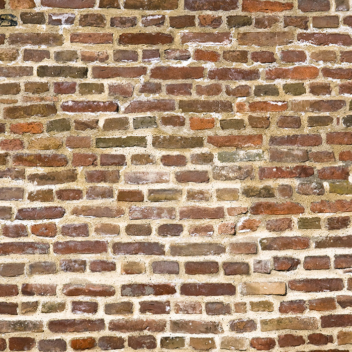 Old Brick Wall - HSD Photography Backdrops 