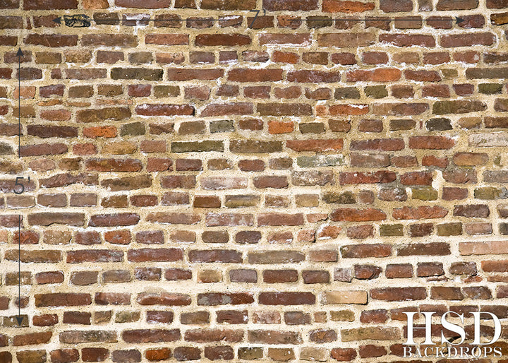 Old Brick Wall - HSD Photography Backdrops 