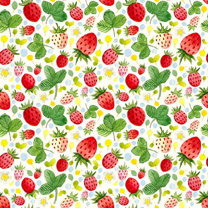 Photography Backdrop Background | Strawberry Shortcake - HSD Photography Backdrops 