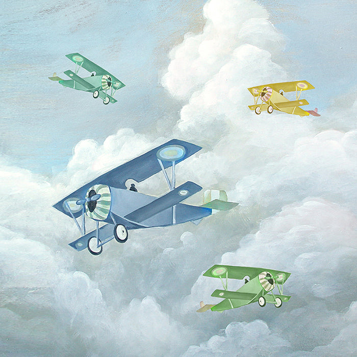 Vintage Airplanes - HSD Photography Backdrops 