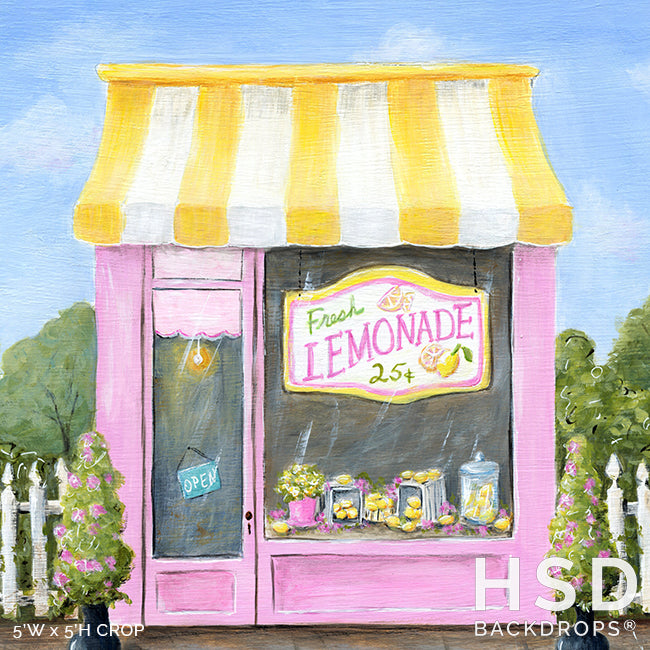 Lemonade Shop - HSD Photography Backdrops 