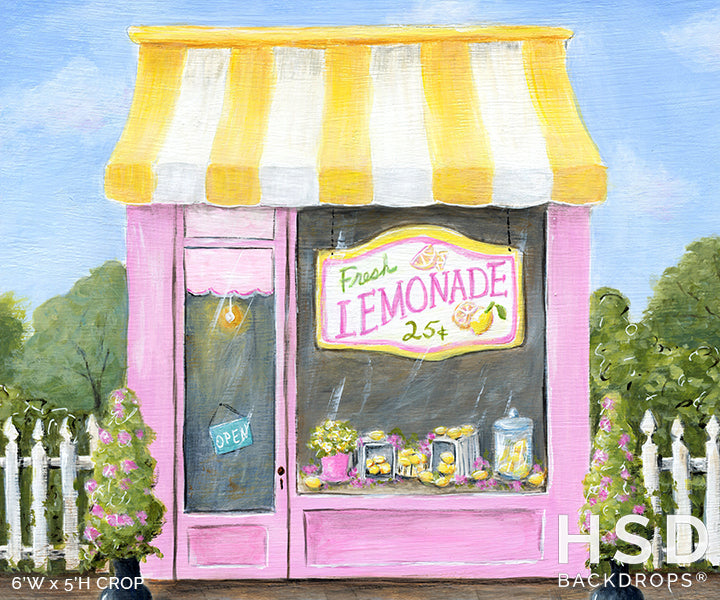 Lemonade Shop - HSD Photography Backdrops 