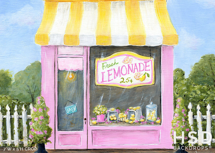 Lemonade Shop - HSD Photography Backdrops 