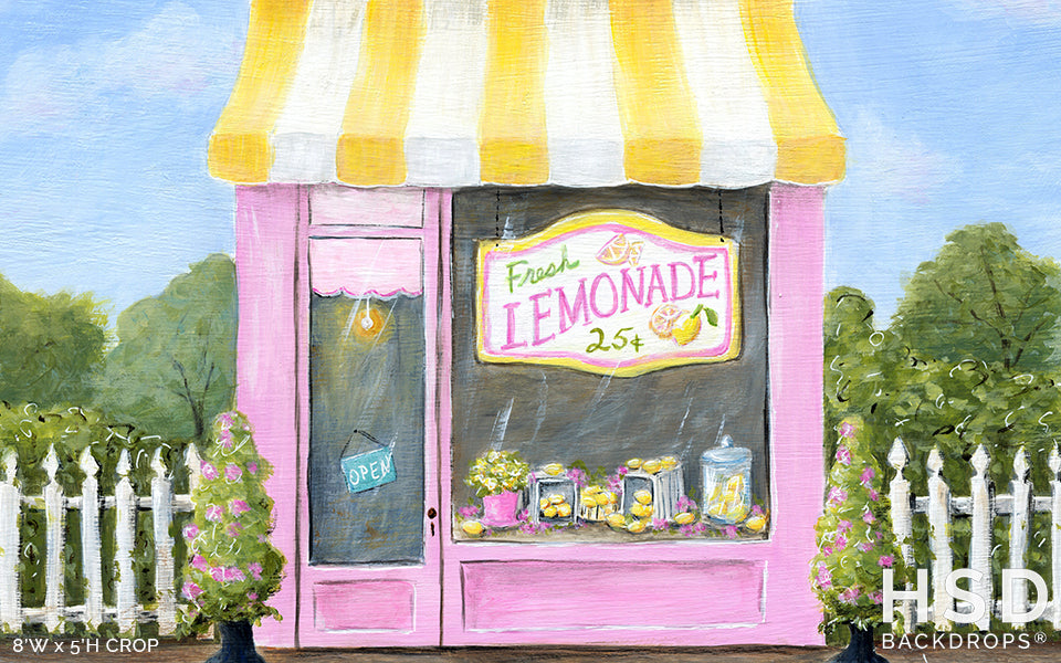 Lemonade Shop - HSD Photography Backdrops 