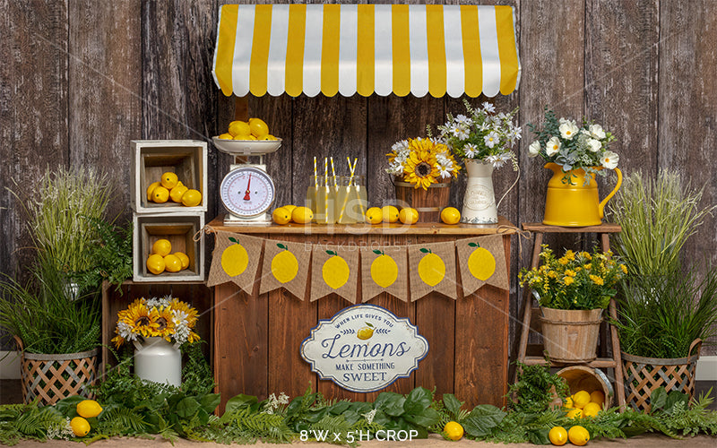 Lemonade Stand Set Up - HSD Photography Backdrops 