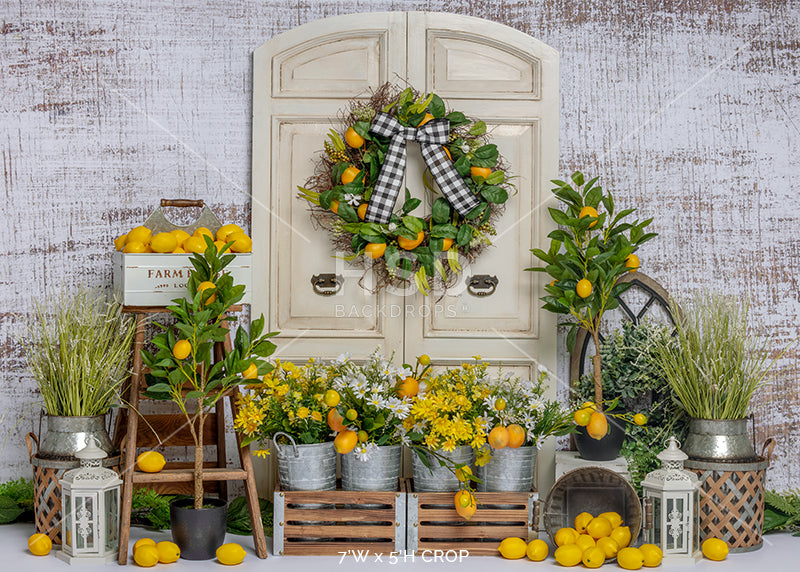 Fresh Lemons - HSD Photography Backdrops 