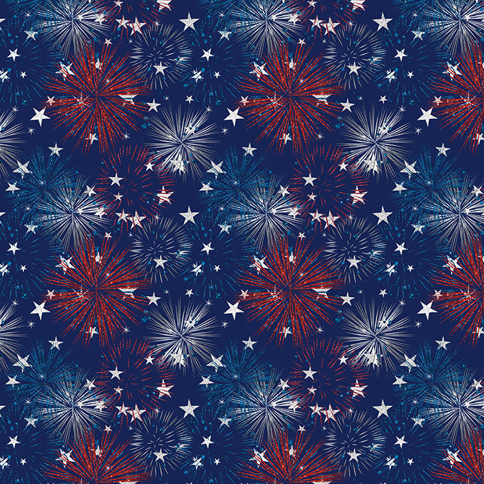 Firework Show - HSD Photography Backdrops 