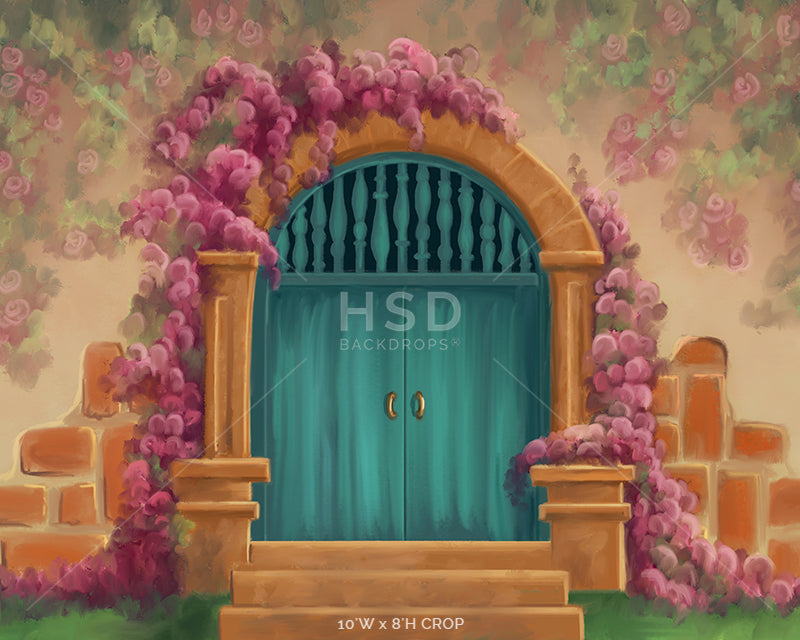 Casita Door - HSD Photography Backdrops 