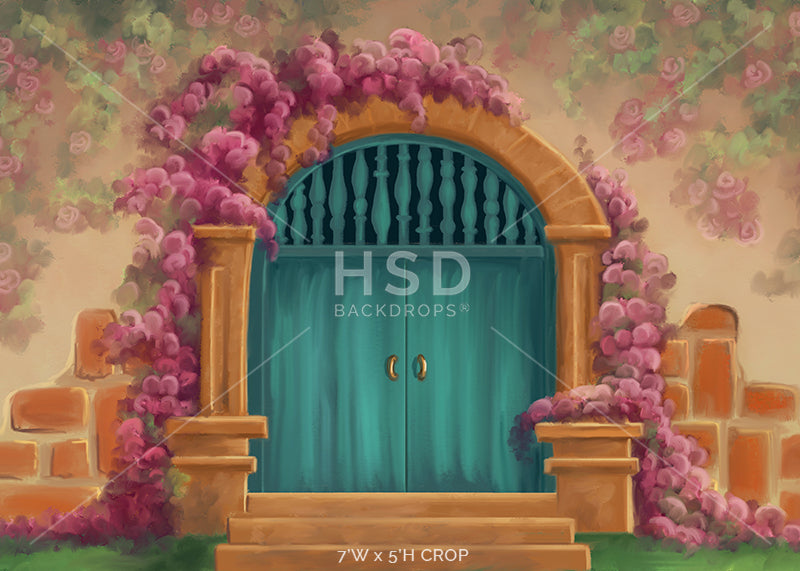 Casita Door - HSD Photography Backdrops 