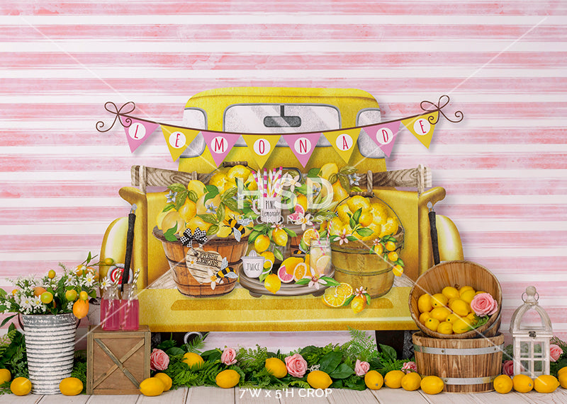 Pink Lemonade - HSD Photography Backdrops 