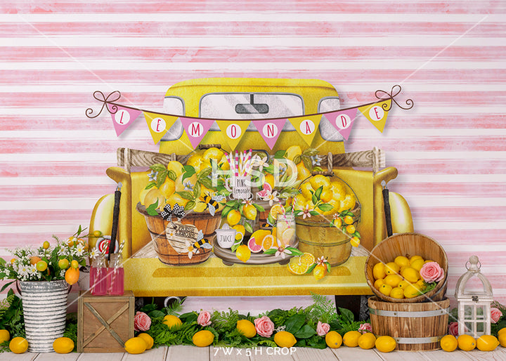 Pink Lemonade - HSD Photography Backdrops 