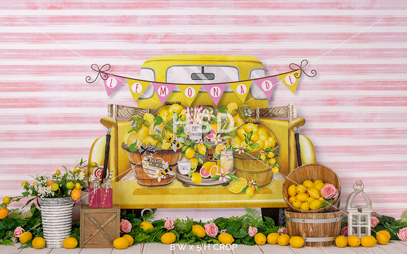 Pink Lemonade - HSD Photography Backdrops 