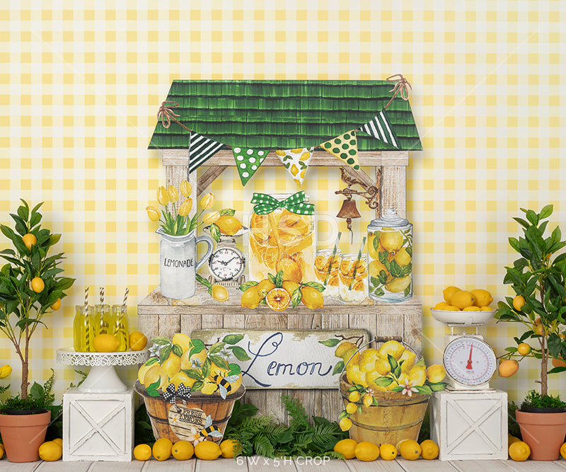 Hand Squeezed Lemonade - HSD Photography Backdrops 