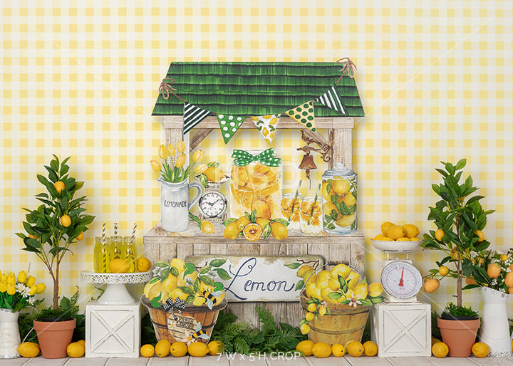 Hand Squeezed Lemonade - HSD Photography Backdrops 