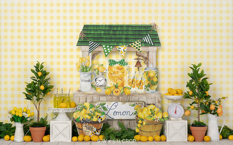 Hand Squeezed Lemonade - HSD Photography Backdrops 