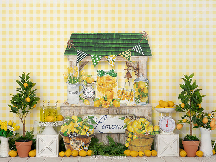 Hand Squeezed Lemonade - HSD Photography Backdrops 