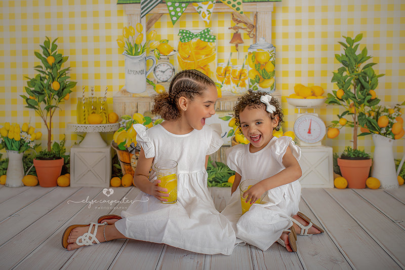 Hand Squeezed Lemonade - HSD Photography Backdrops 