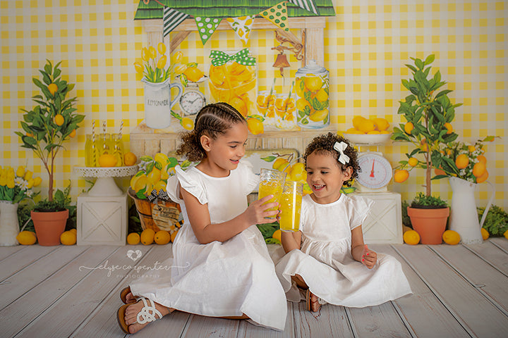 Hand Squeezed Lemonade - HSD Photography Backdrops 