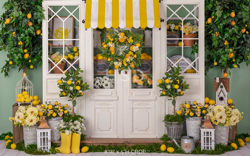 Lemon Greenhouse - HSD Photography Backdrops 