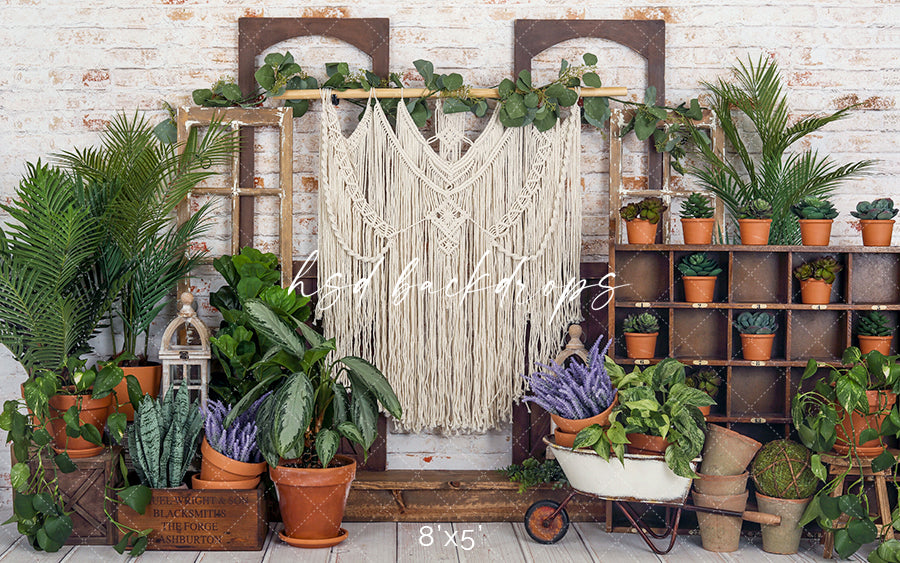 Boho Garden Porch - HSD Photography Backdrops 