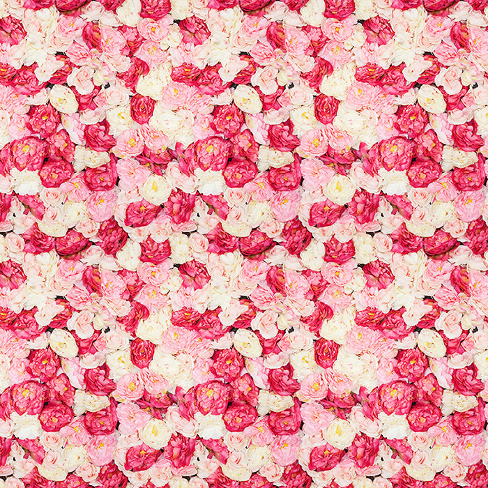 Photography Backdrop Photo Background | Strawberry - HSD Photography Backdrops 