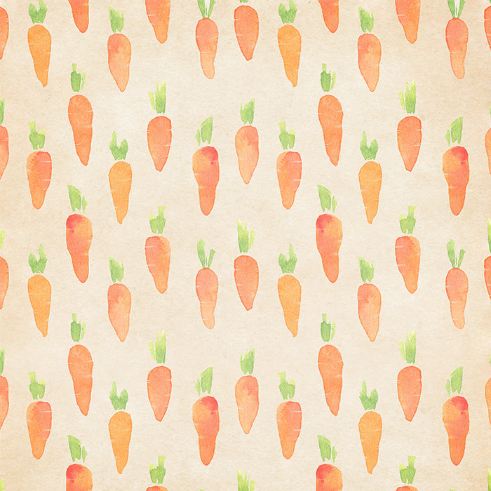 Carrot Patch - HSD Photography Backdrops 