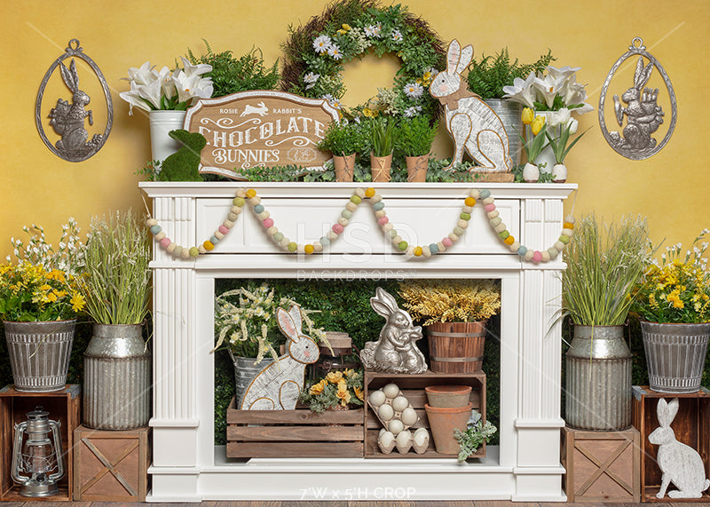 Hippity Hoppity Easter - HSD Photography Backdrops 