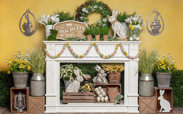 Hippity Hoppity Easter - HSD Photography Backdrops 