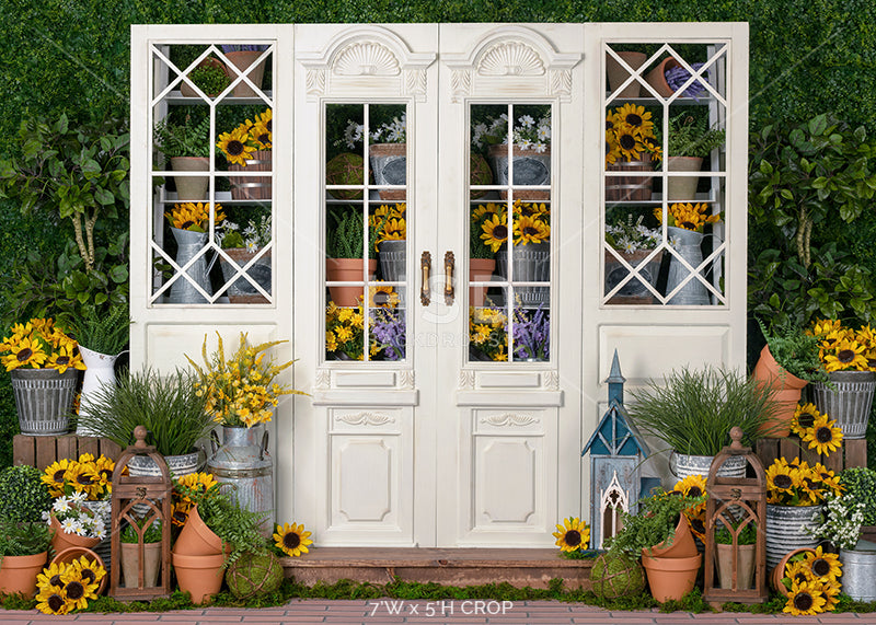 Sunflower Greenhouse - HSD Photography Backdrops 