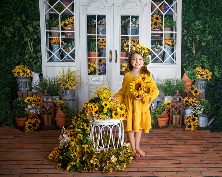 Sunflower Greenhouse - HSD Photography Backdrops 