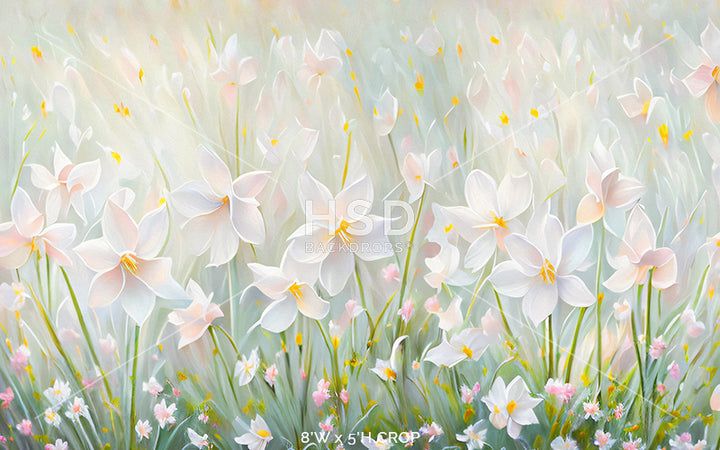 Dreamy Daffodils - HSD Photography Backdrops 