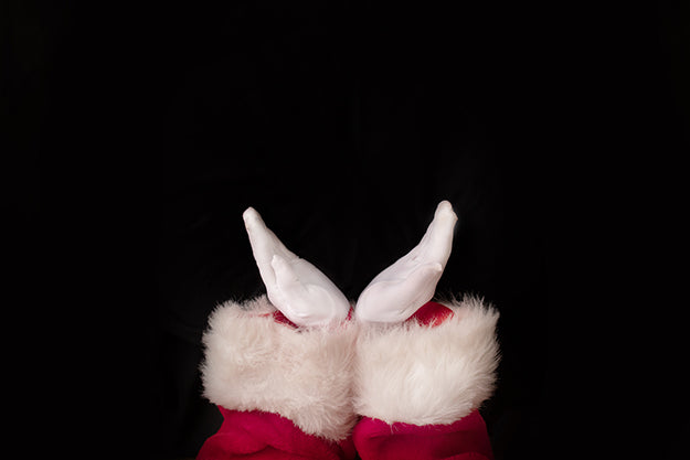 Newborn Digital Backdrop | Santa Baby II - HSD Photography Backdrops 