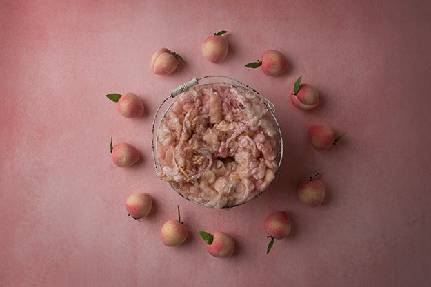 Sweet Peach Collection | Digital - HSD Photography Backdrops 