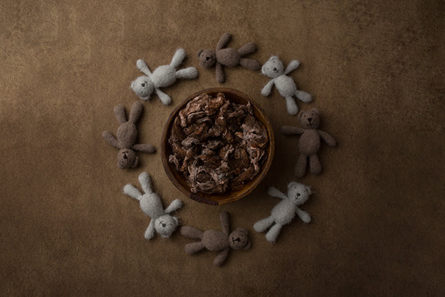 Teddybears Collection | Digital - HSD Photography Backdrops 