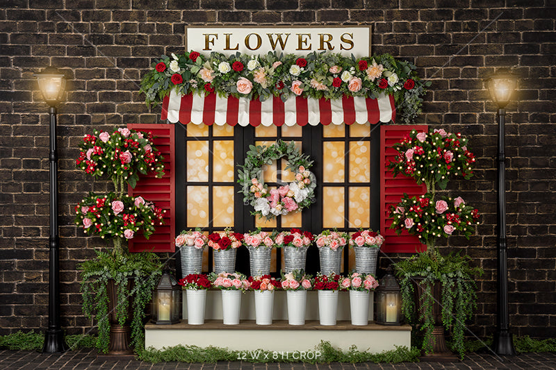 Valentine's Day Window - HSD Photography Backdrops 