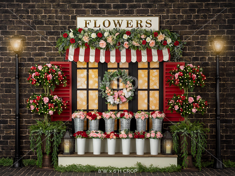 Valentine's Day Window - HSD Photography Backdrops 