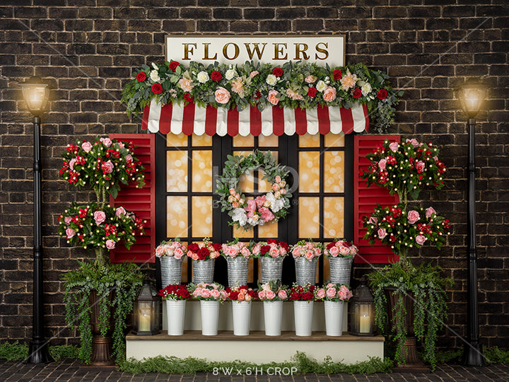 Valentine's Day Window - HSD Photography Backdrops 