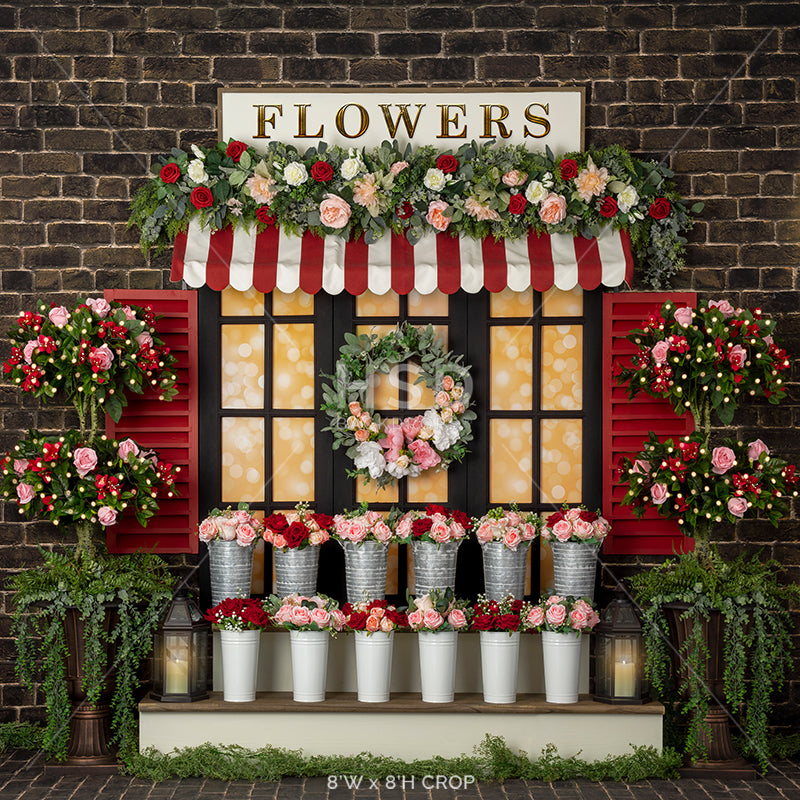 Valentine's Day Window - HSD Photography Backdrops 