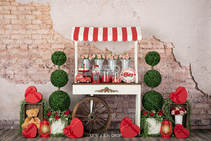 Valentine's Day Candy Cart - HSD Photography Backdrops 