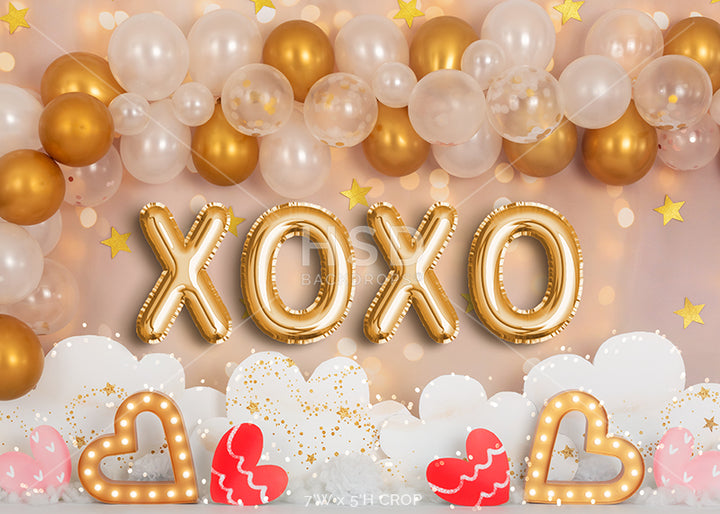 XOXO Valentine - HSD Photography Backdrops 