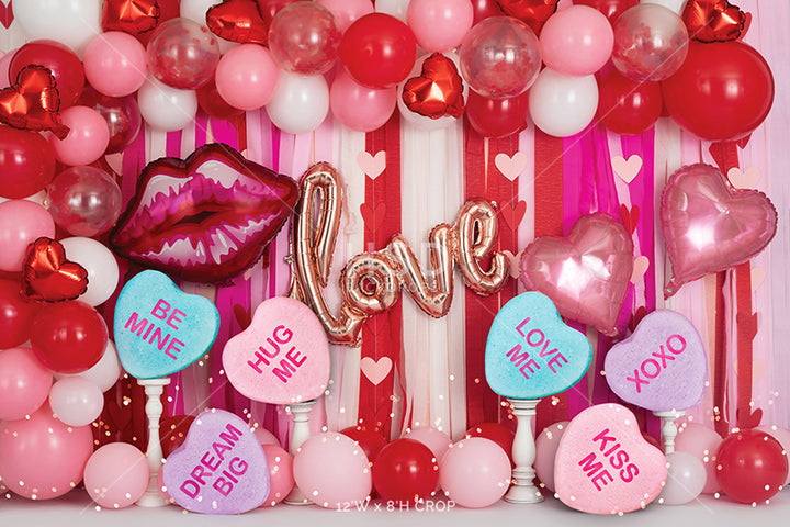 Valentine's Party - HSD Photography Backdrops 