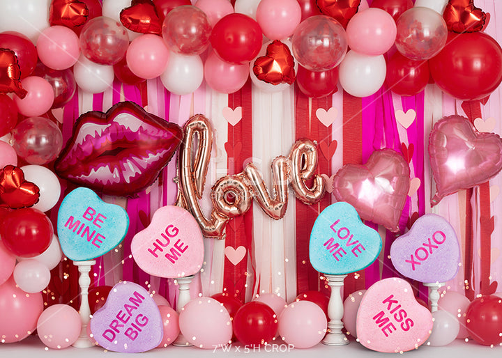 Valentine's Party - HSD Photography Backdrops 